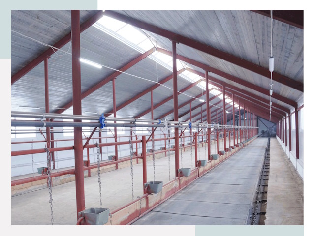 Строительство коровников в Шарыпово от 606 руб.