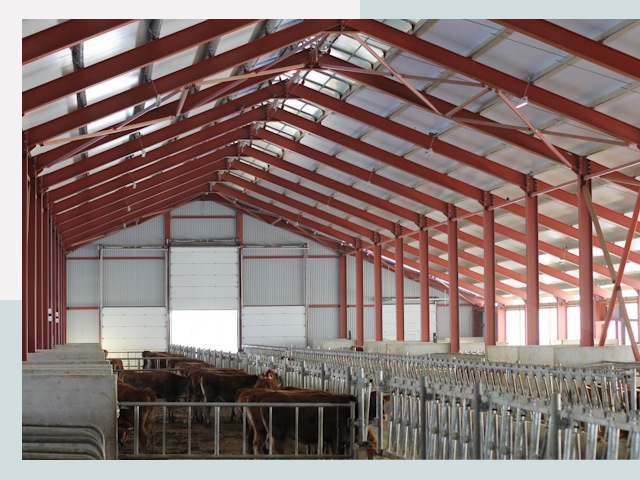 Строительство коровников в Шарыпово