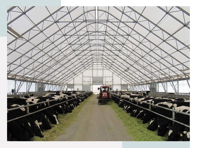 Тентовые коровники в Шарыпово от 606 руб. - Надежно и доступно